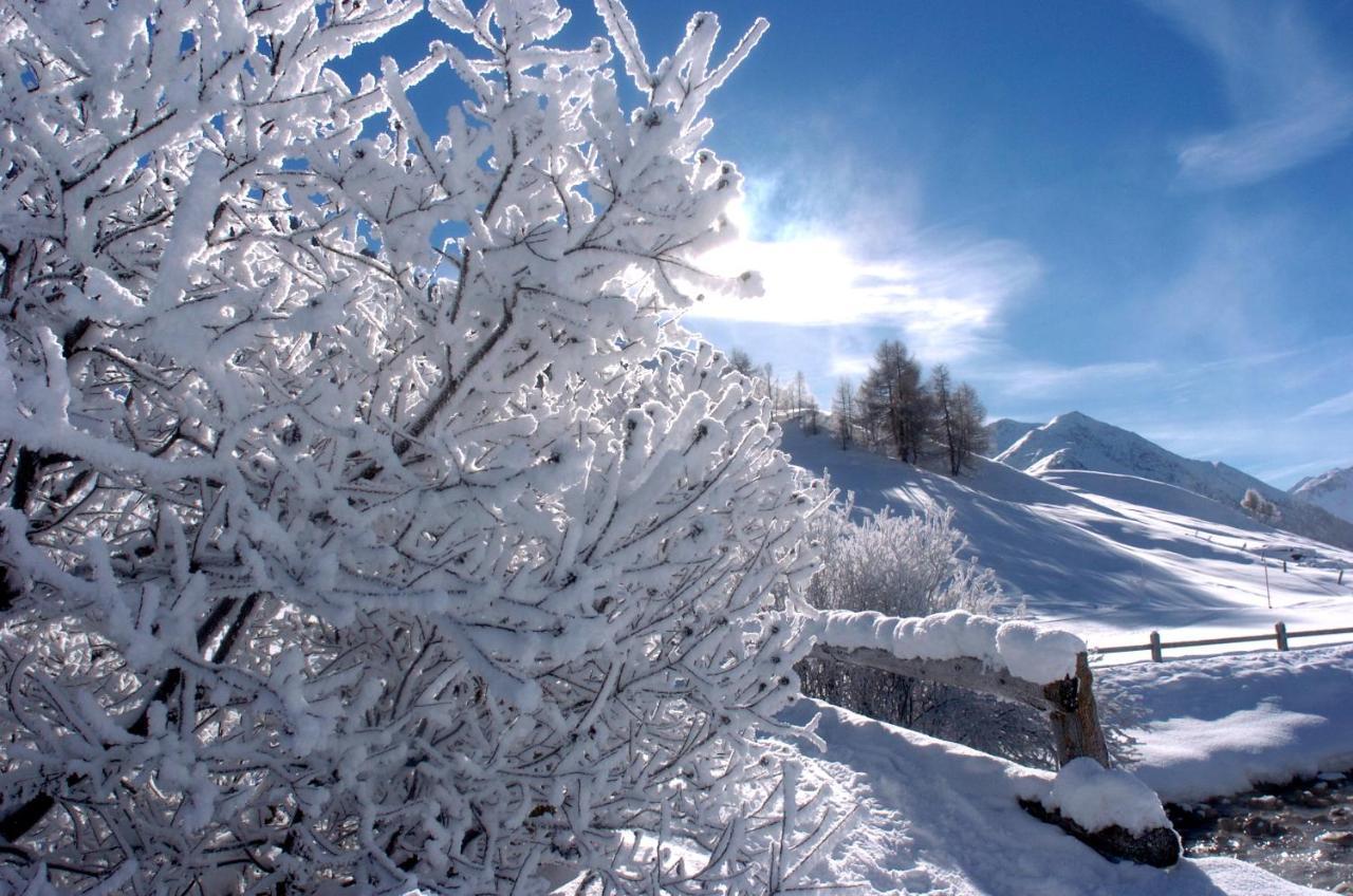 Alexander Charme Hotel Livigno Bagian luar foto